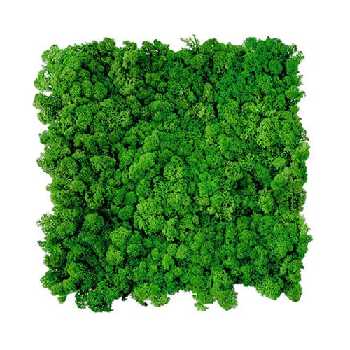 WALL PANELS -Moss green 54-